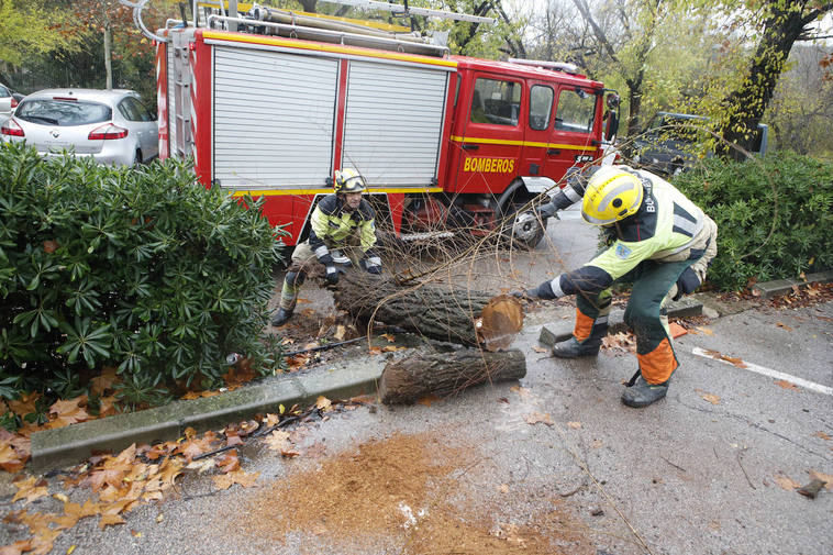 Cáceres cierra el parque del Príncipe por el temporal, donde un árbol ha caído sobre un coche