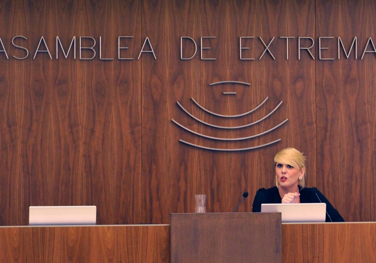 La consejera Elena Manzano, durante la presentación de las cuentas regionales este miércoles en la Asamblea.