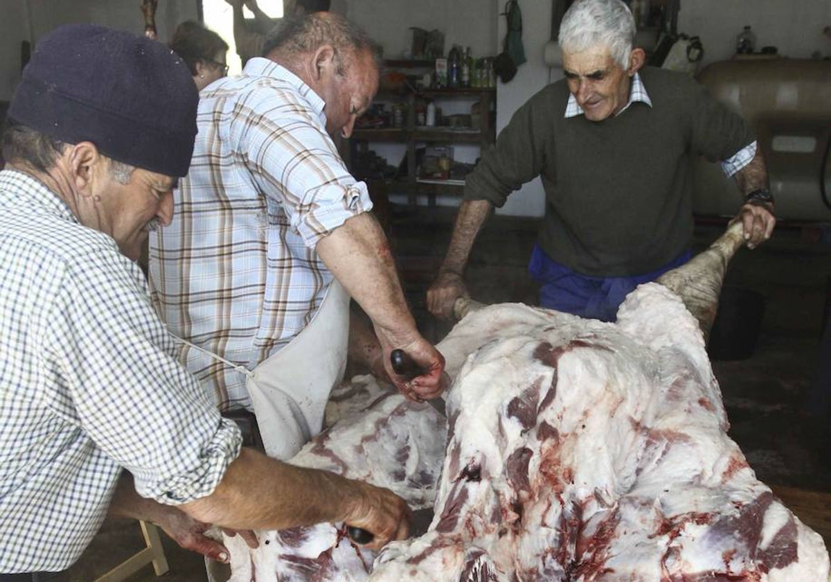 Matanza familiar en la localidad de La Morera, en la comarca de Zafra.