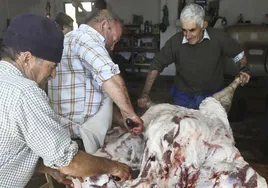 Matanza familiar en la localidad de La Morera, en la comarca de Zafra.