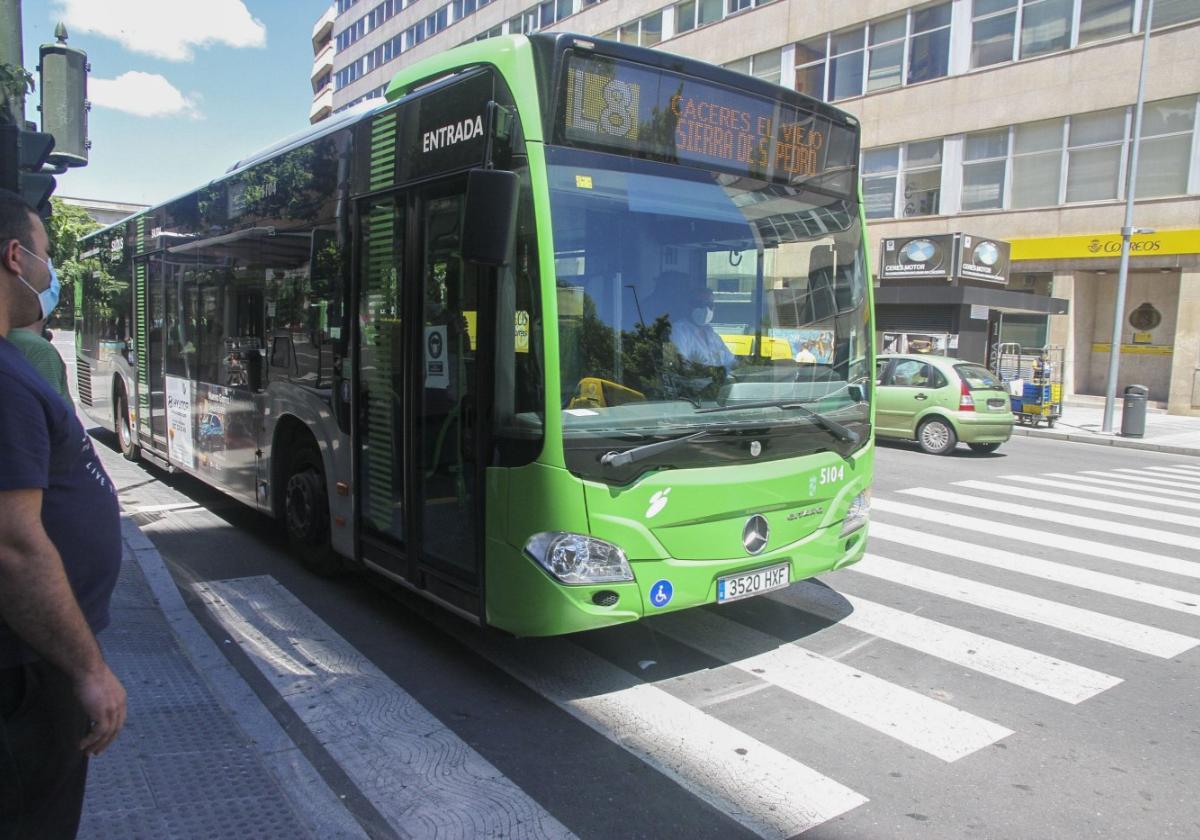 Imagen de archivo de un autobús 8 en Clara Campoamor.