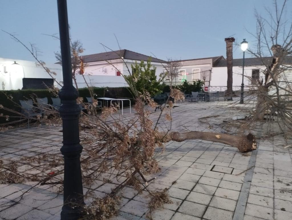 Estos son los destrozos causados por los ladrones al robar un cajero en Aljucén