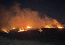 El fuego se declaró en la zona de Peñanegra.