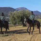 Los guardianes de la aceituna en el campo