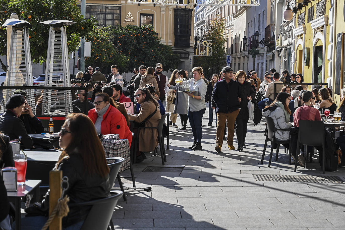 Cañas de Nochebuena en Badajoz