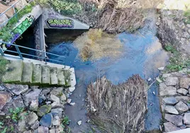 Imagen tomada por Amigos de la Ribera en las inmediaciones del arroyo, cerca de viaducto de la Ronda Sureste.