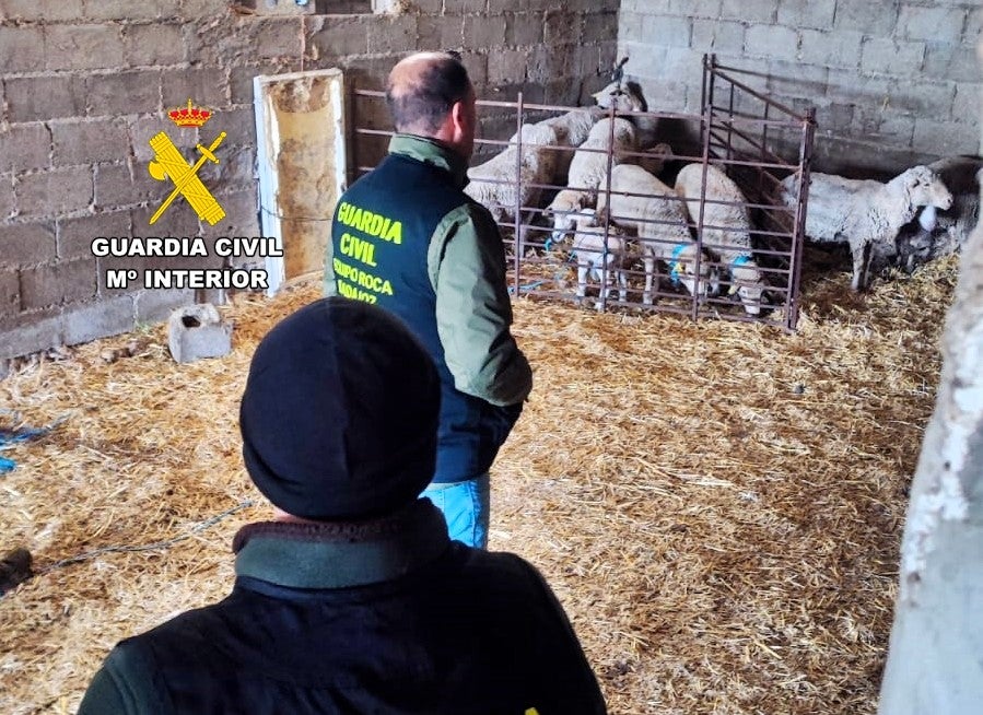 Agentes de la Guardia Civil en la inspección del ganado