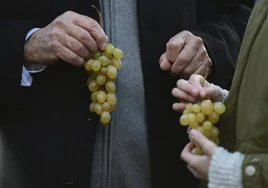 Racimos de uvas, bombas de racimo