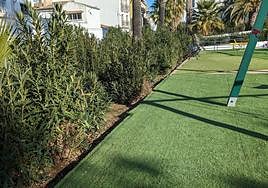 Las adelfas, que han sido podadas, en el parque de Santa Clara