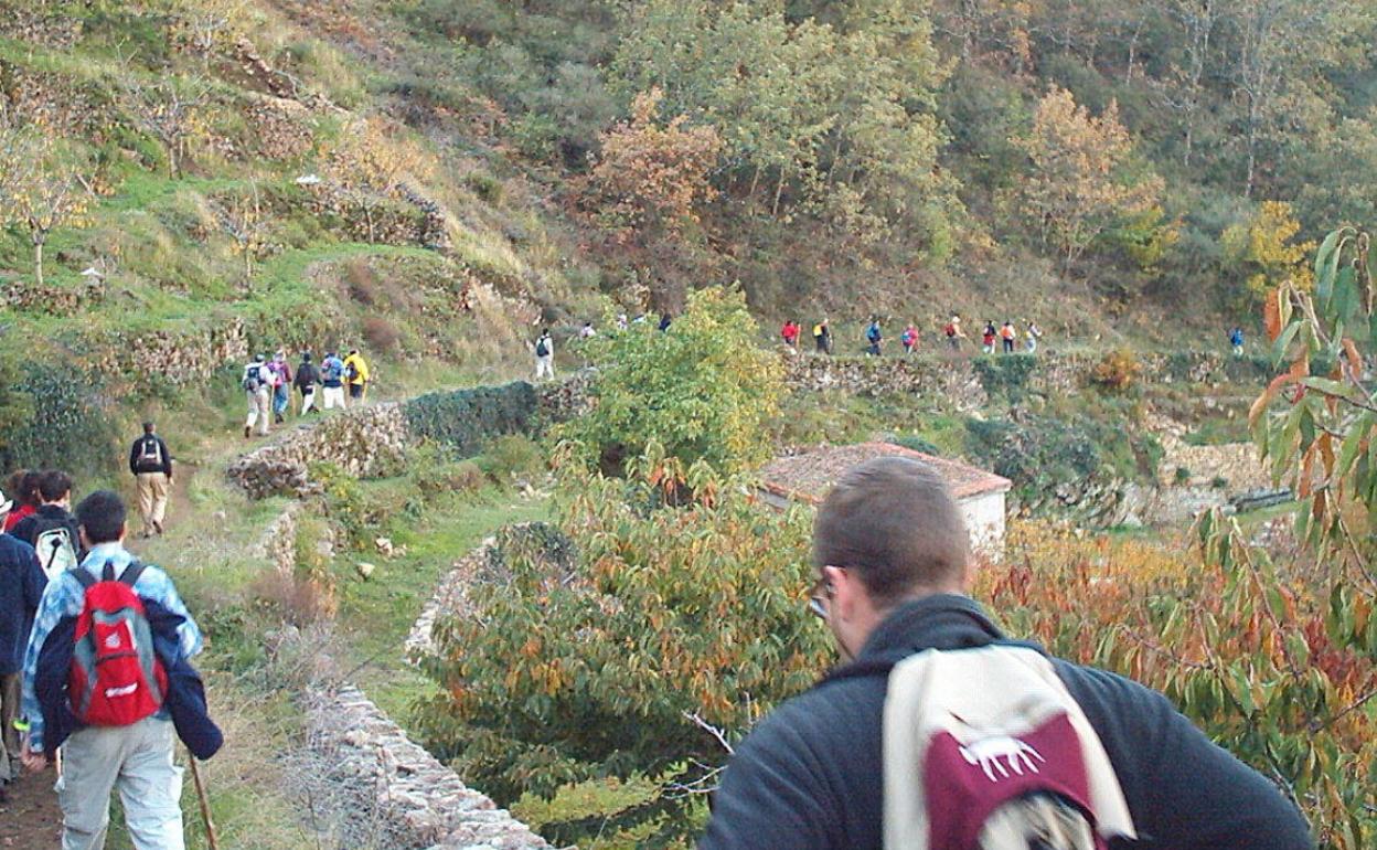 Deporte: Consejos para realizar rutas de senderismo o montaña de una manera segura