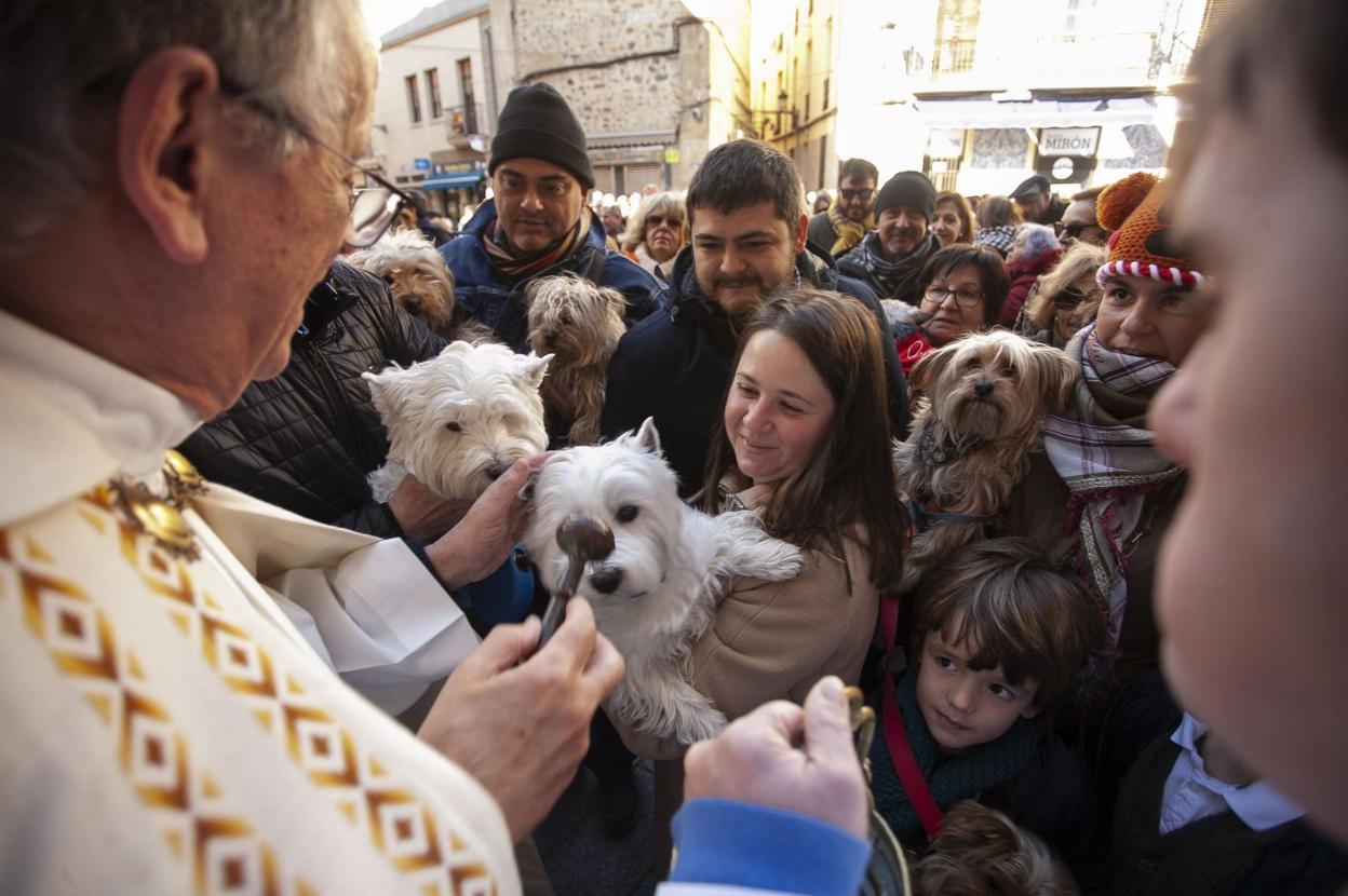 Bendición de mascotas en una celebración de San Antón en Cáceres. 