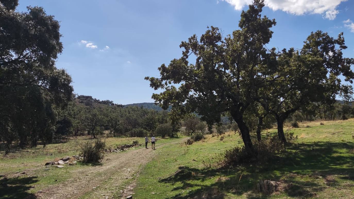 La etapa de Madroñera a Garciaz es de 15 kilómetros.