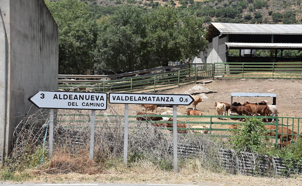 El acuerdo de atención sanitaria entre regiones limítrofes permite situaciones como que los vecinos de Valdelamatanza (Salamanca) tengan su médico de cabecera en Aldeanueva del Camino (Cáceres).