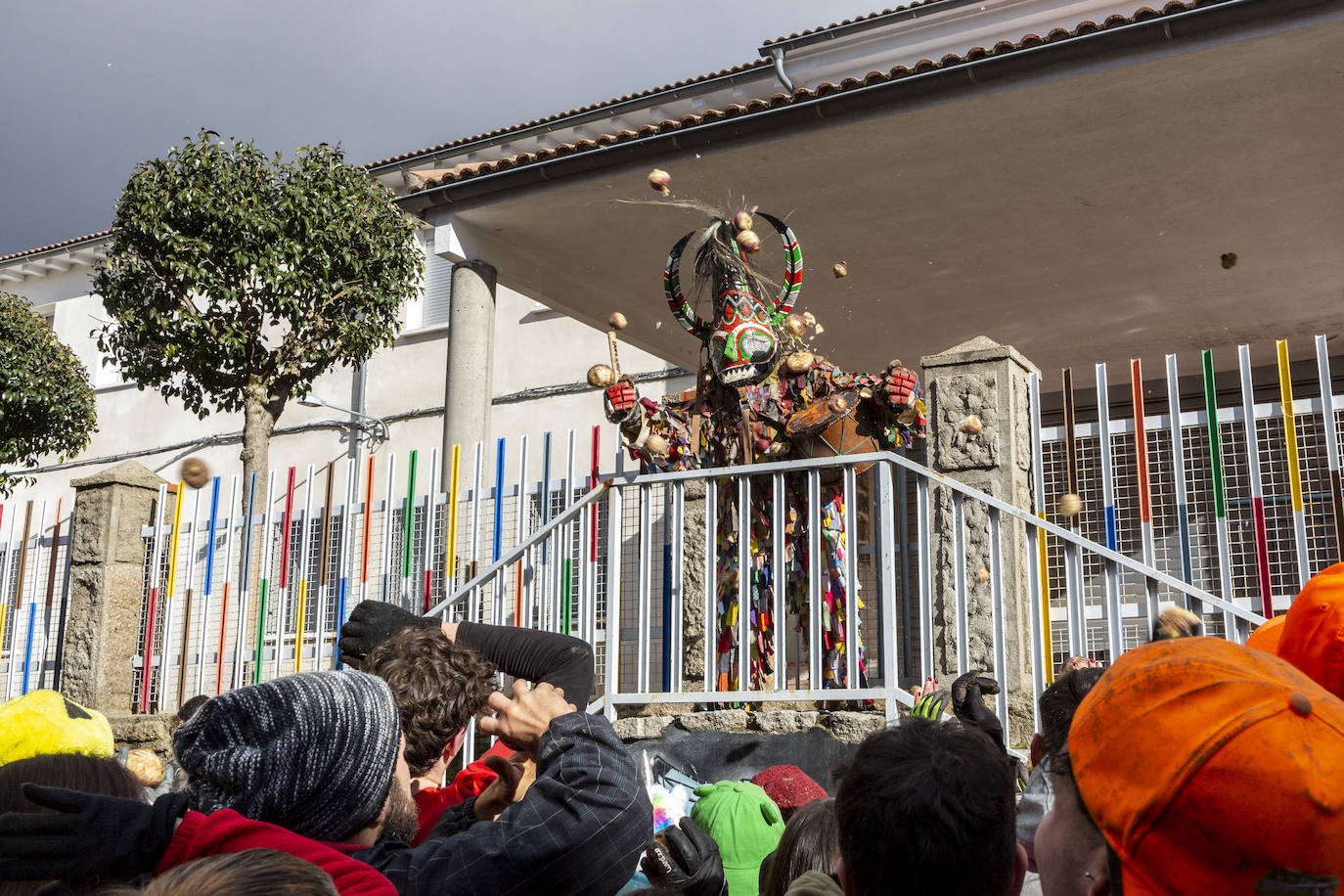 Fotos: Fiestas de Extremadura: Jarramplas vuelve a recibir una lluvia de nabos en Piornal