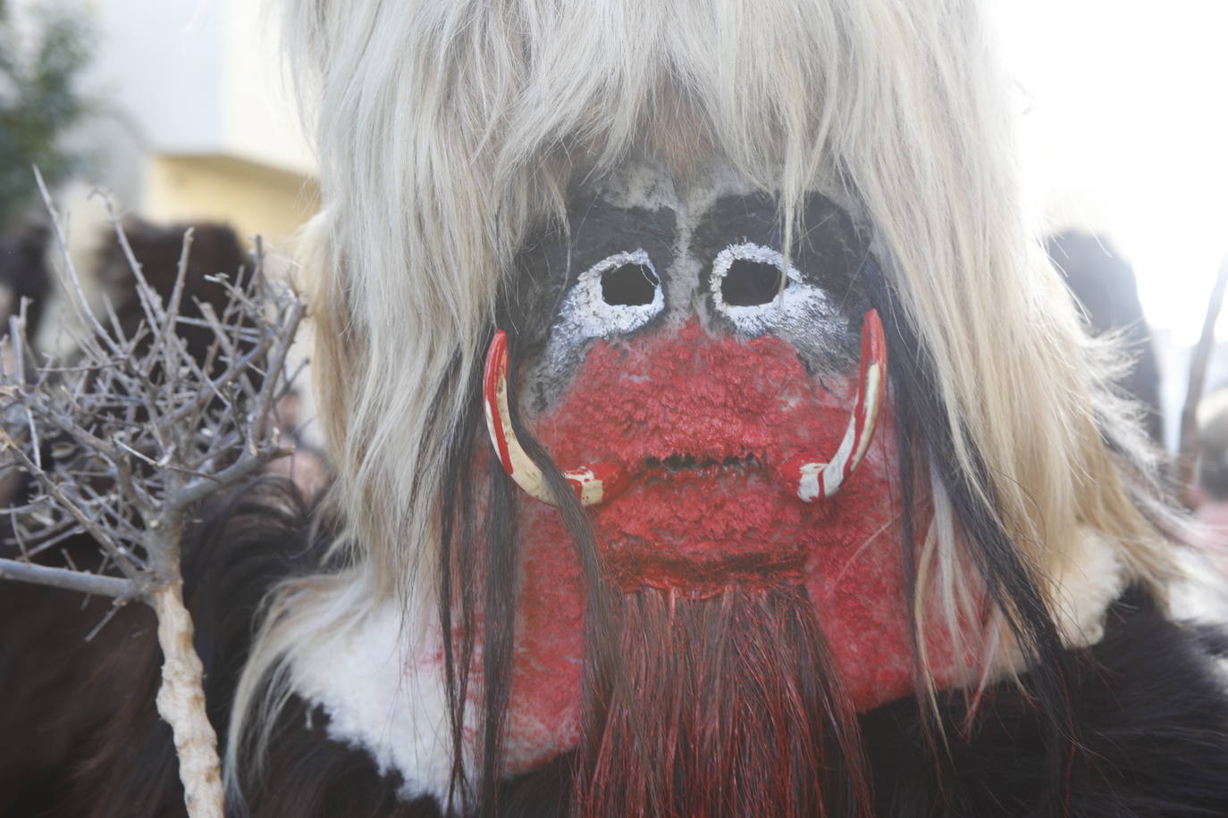 Fotos: Unas carantoñas de récord