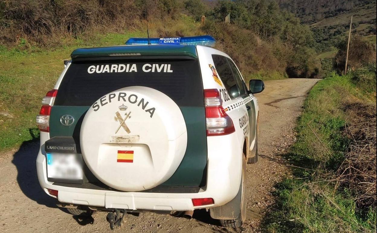 Detenido por cazar de manera furtiva en varias fincas privadas de Berzocana