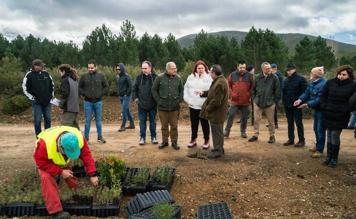 Labores de reforestación que la Fundación Oak desarrolla en el Valle del Árrago. Visita institucional que responsables de la Junta hicieron al lugar el pasado día 17 En el centro, la consejera Begoña García Bernal.