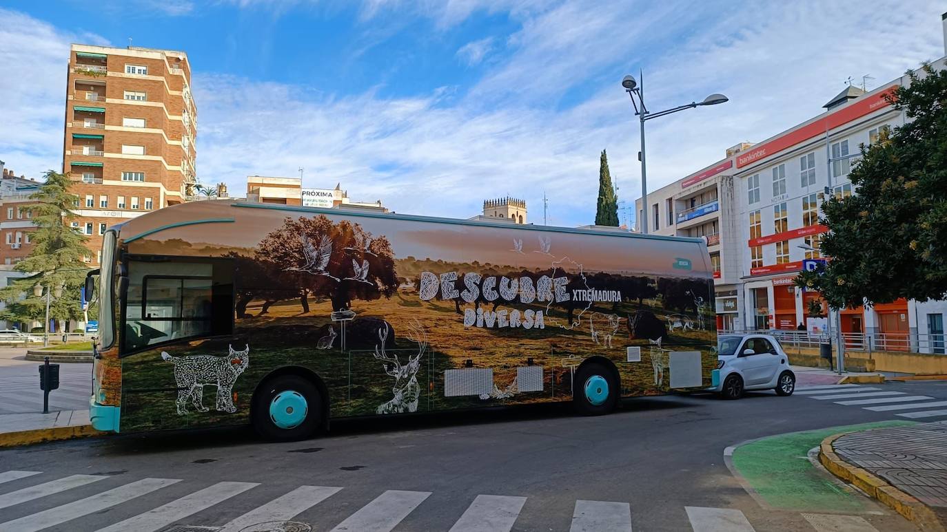Autobús de Descubre Extremadura Diversa. 