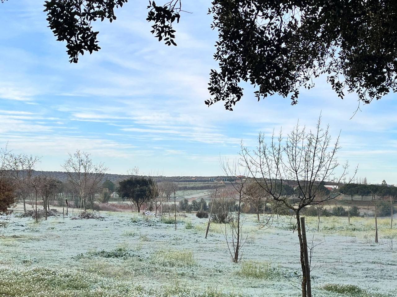 Gran helada en el pantano San Roque de Guareña.