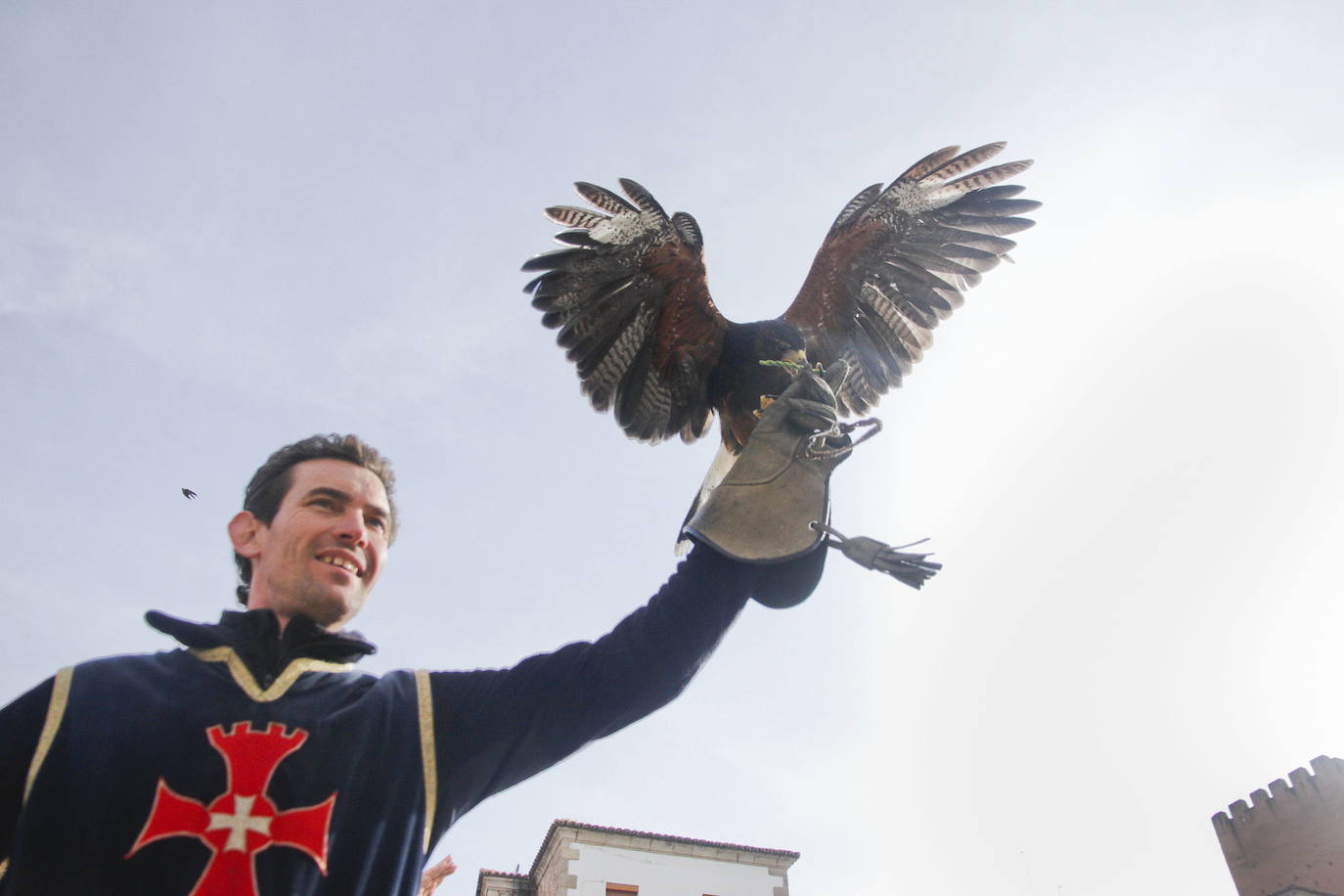 Cetrería, «el arte de criar, domesticar, enseñar y curar a los halcones y demás aves que sirven para la caza de volatería»