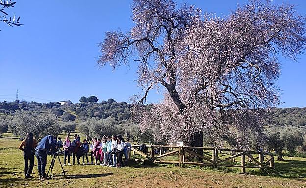 Los escolares del César Hurtado Delicado visitando al Almendro Real
