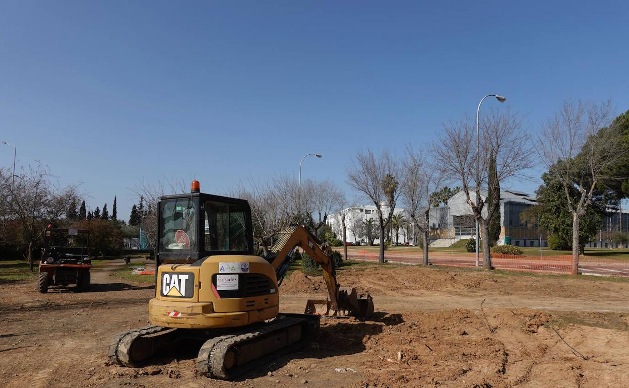 Operarios y máquinas se pueden ver trabajando ya en la avenida de Elvas, dentro del campus. 