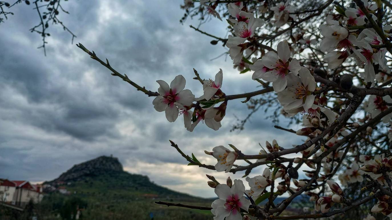 Fotos: Ruta por los almendros en flor del entorno de Alange