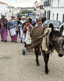 Imagen secundaria 2 - Decenas de personas disfrazadas de campesinos recorrieron las calles de la localidad sembrando la ceniza con el arado y la mula de Marce el de la Huerta. 