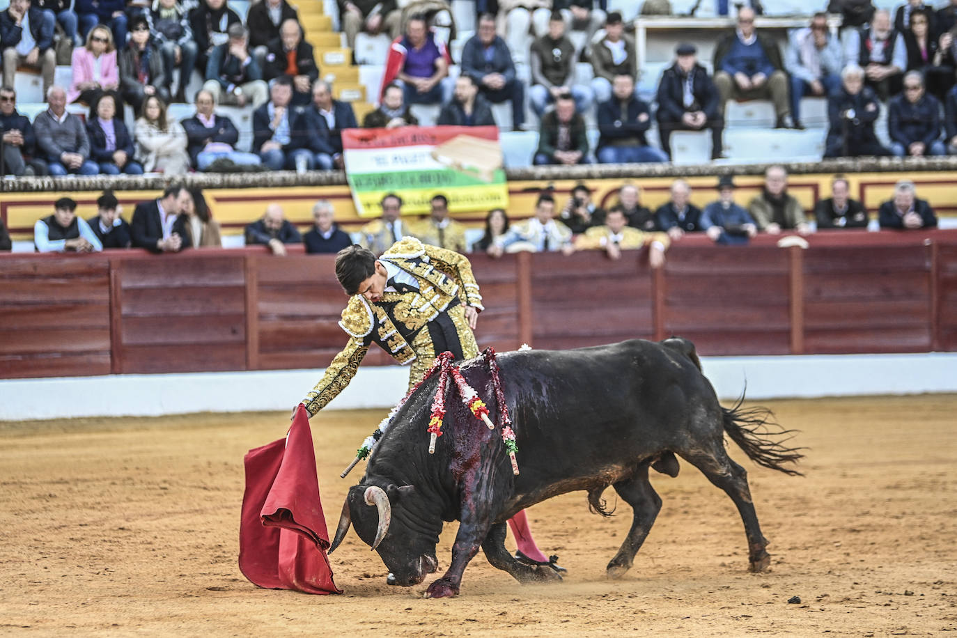 Fotos: Triple triunfo en Olivenza