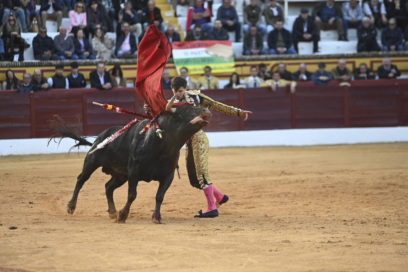 Fotos: Triple triunfo en Olivenza