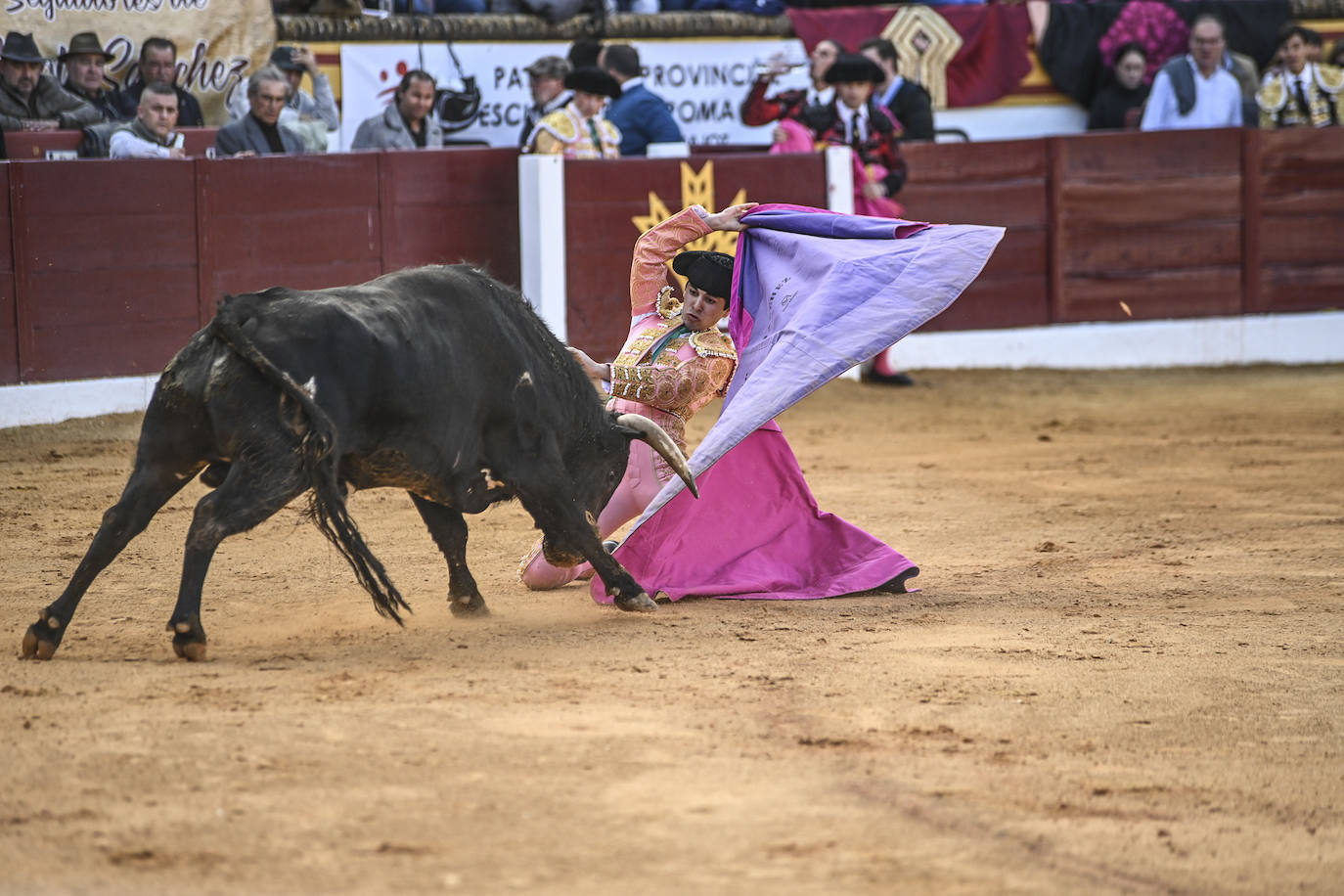 Fotos: Triple triunfo en Olivenza