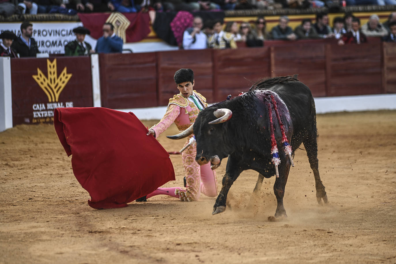 Fotos: Triple triunfo en Olivenza