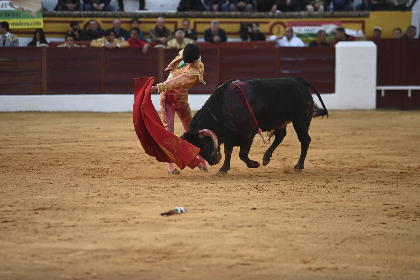 Fotos: Triple triunfo en Olivenza