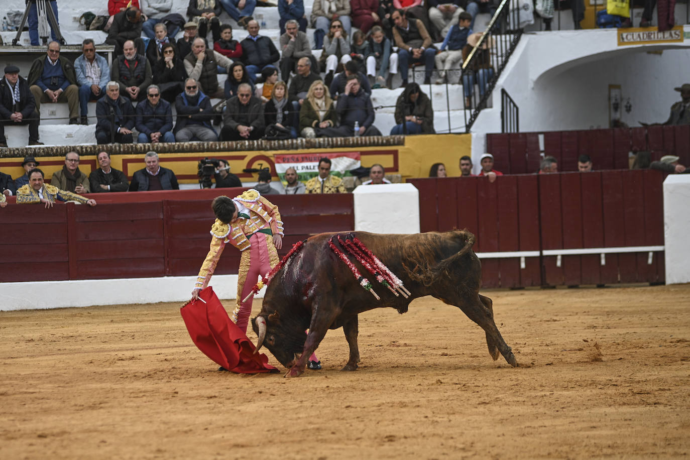 Fotos: Triple triunfo en Olivenza