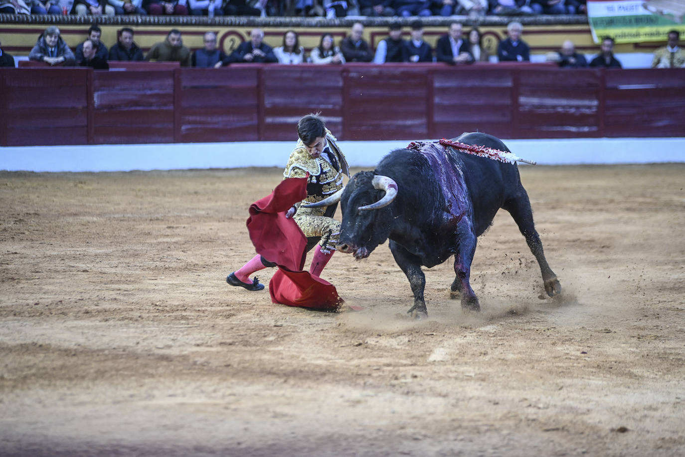 Fotos: Triple triunfo en Olivenza