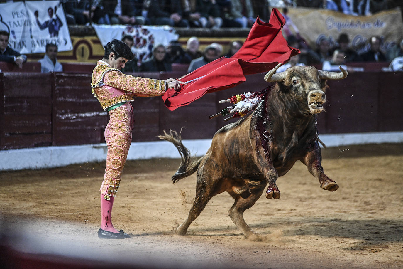 Fotos: Triple triunfo en Olivenza