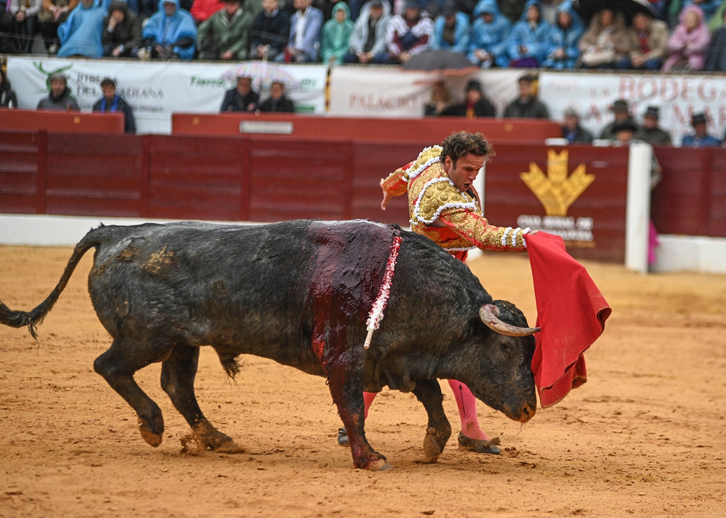 Fotos: Triunfo de Ventura, con Ferrera y Valdez con un trofeo cada uno