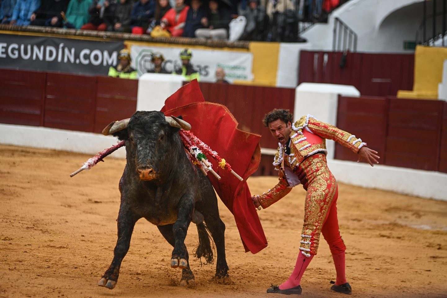 Fotos: Triunfo de Ventura, con Ferrera y Valdez con un trofeo cada uno