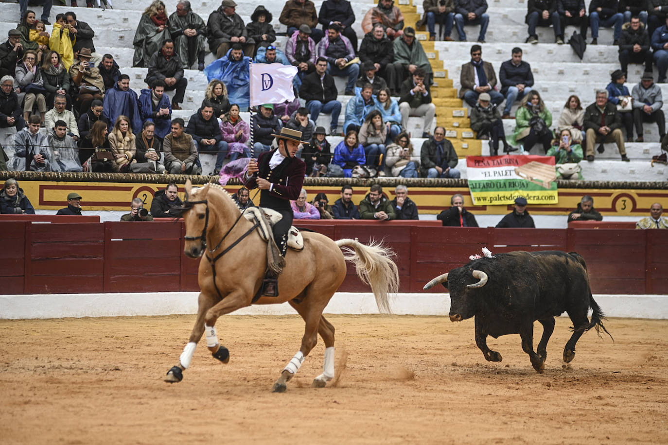 Fotos: Triunfo de Ventura, con Ferrera y Valdez con un trofeo cada uno