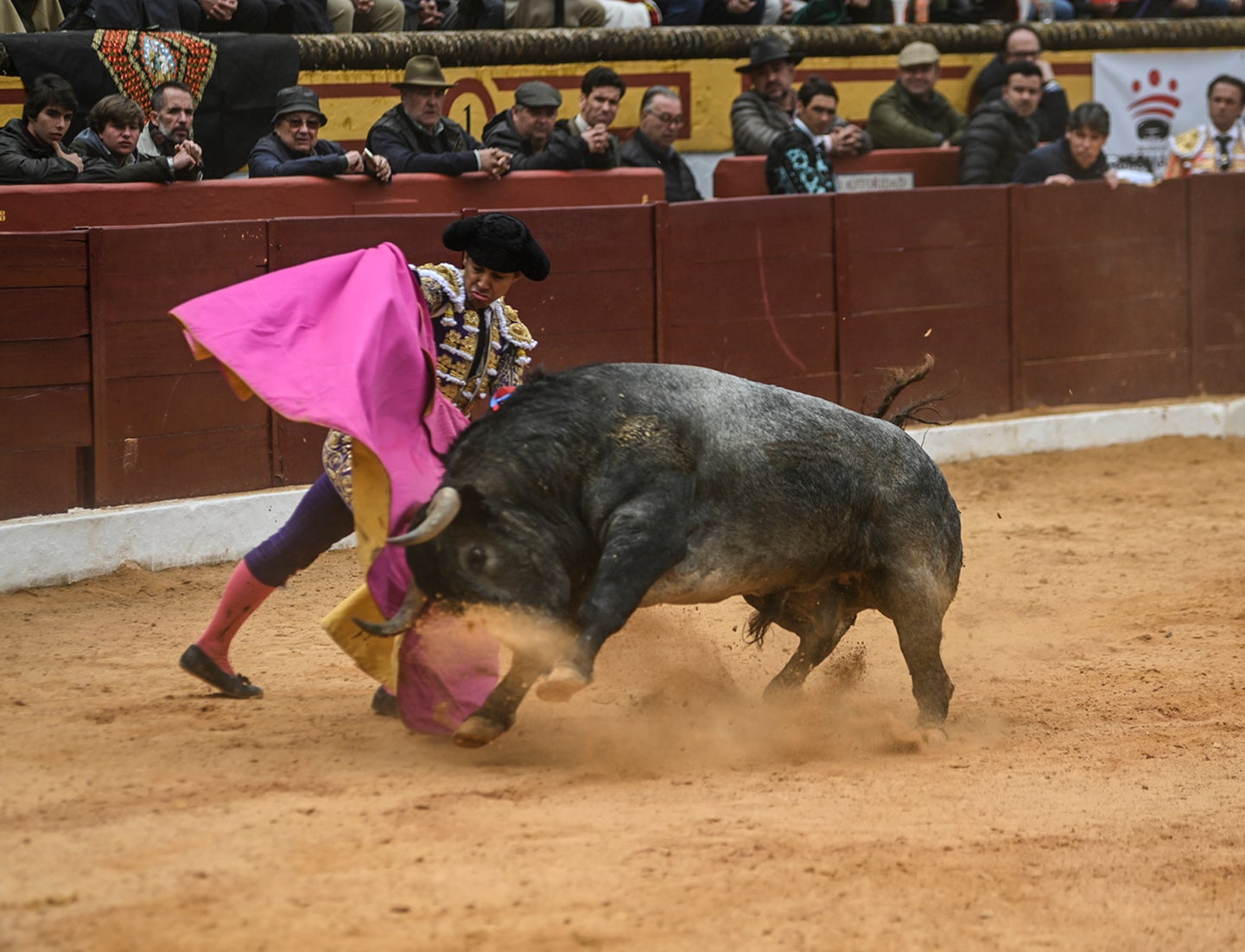 Fotos: Triunfo de Ventura, con Ferrera y Valdez con un trofeo cada uno