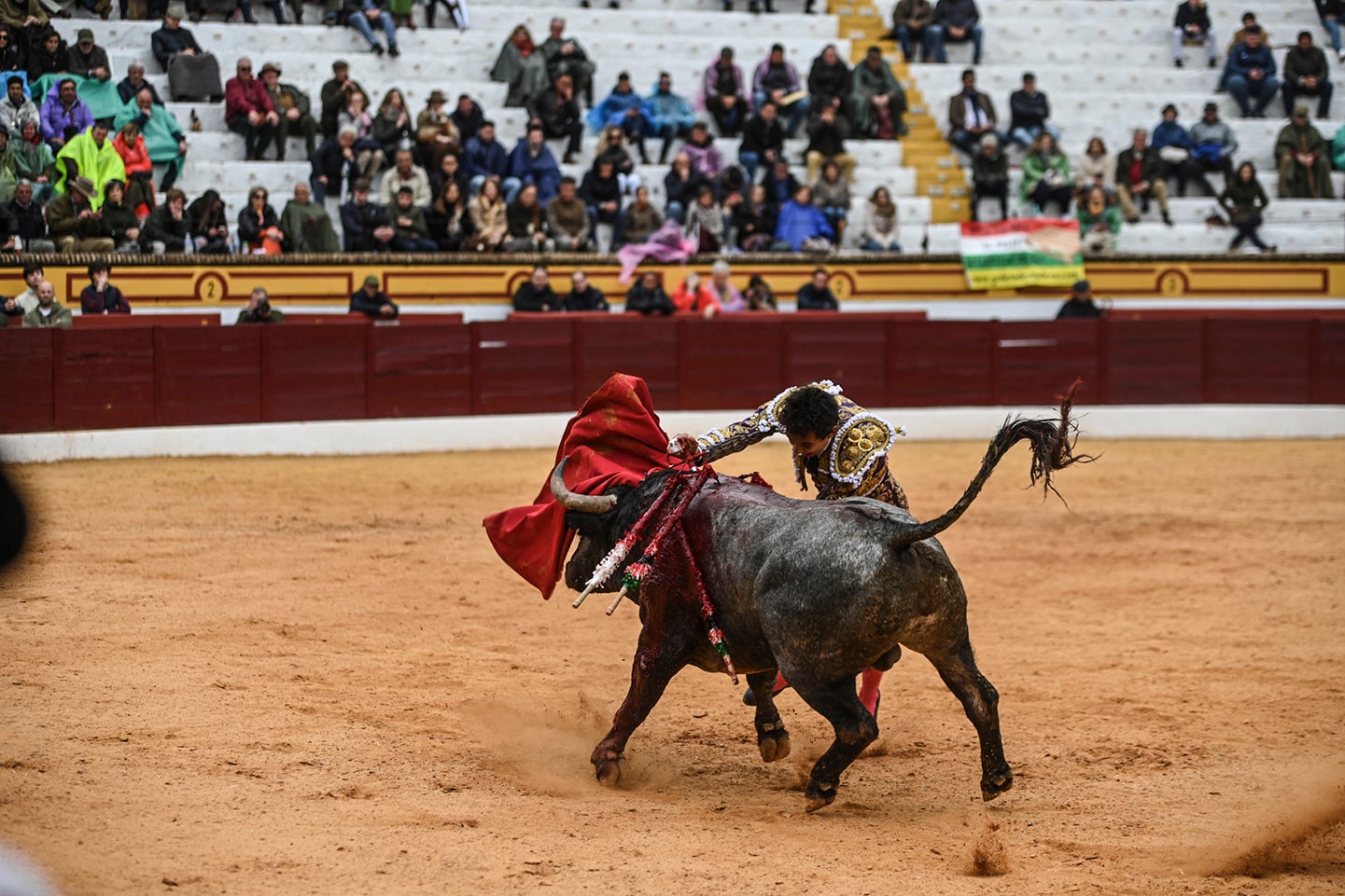 Fotos: Triunfo de Ventura, con Ferrera y Valdez con un trofeo cada uno