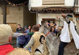 Un burro durante la celebración del Peropalo en Villanueva de la Vera.