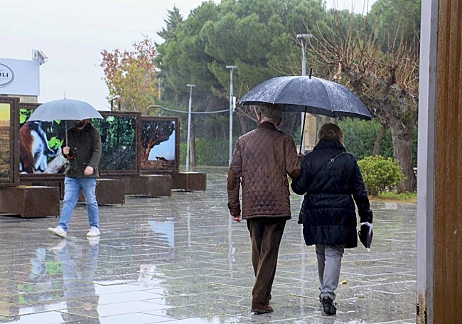 Lluvia en Mérida la pasada semana. Los pronósticos apunta a un enero más lluvioso de lo normal.