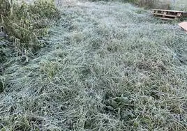 La hierba helada ha sido la imagen de la mañana en muchos puntos de la región.
