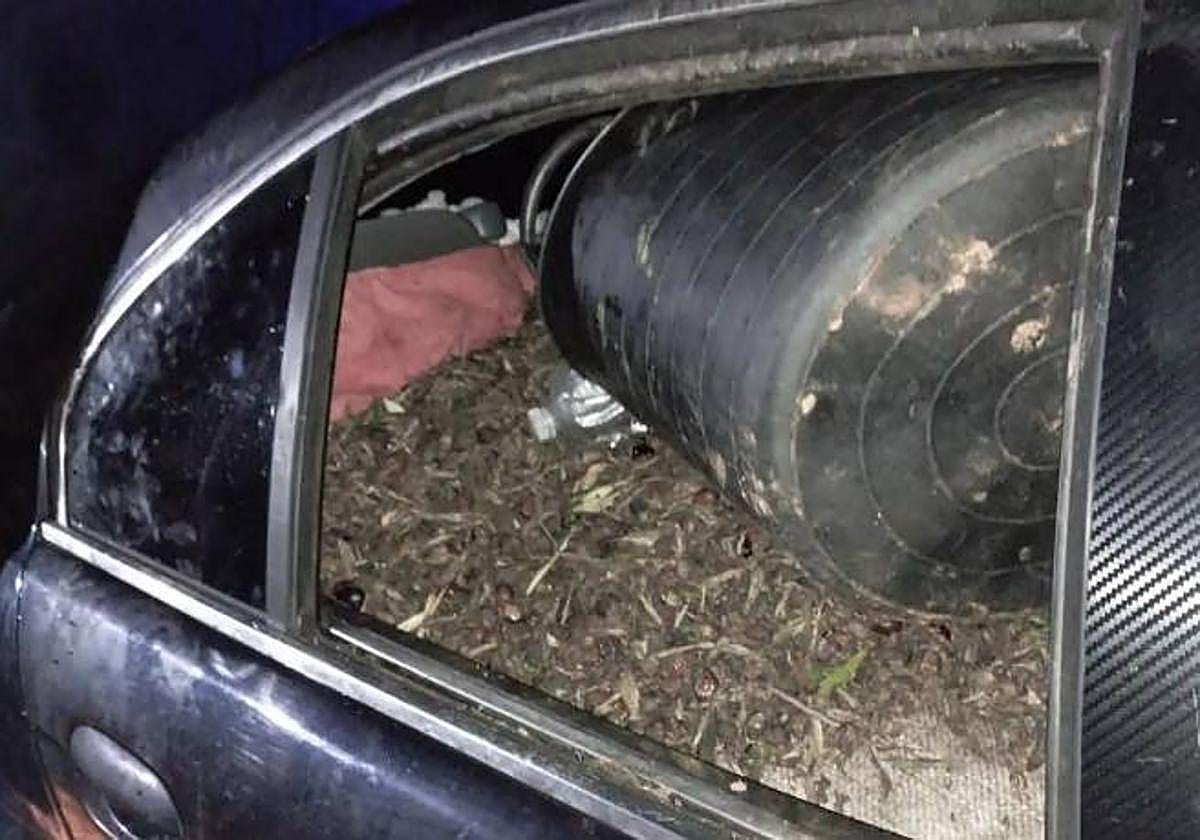 Imagen de archivo de los asientos traseros de un coche con aceituna robada.