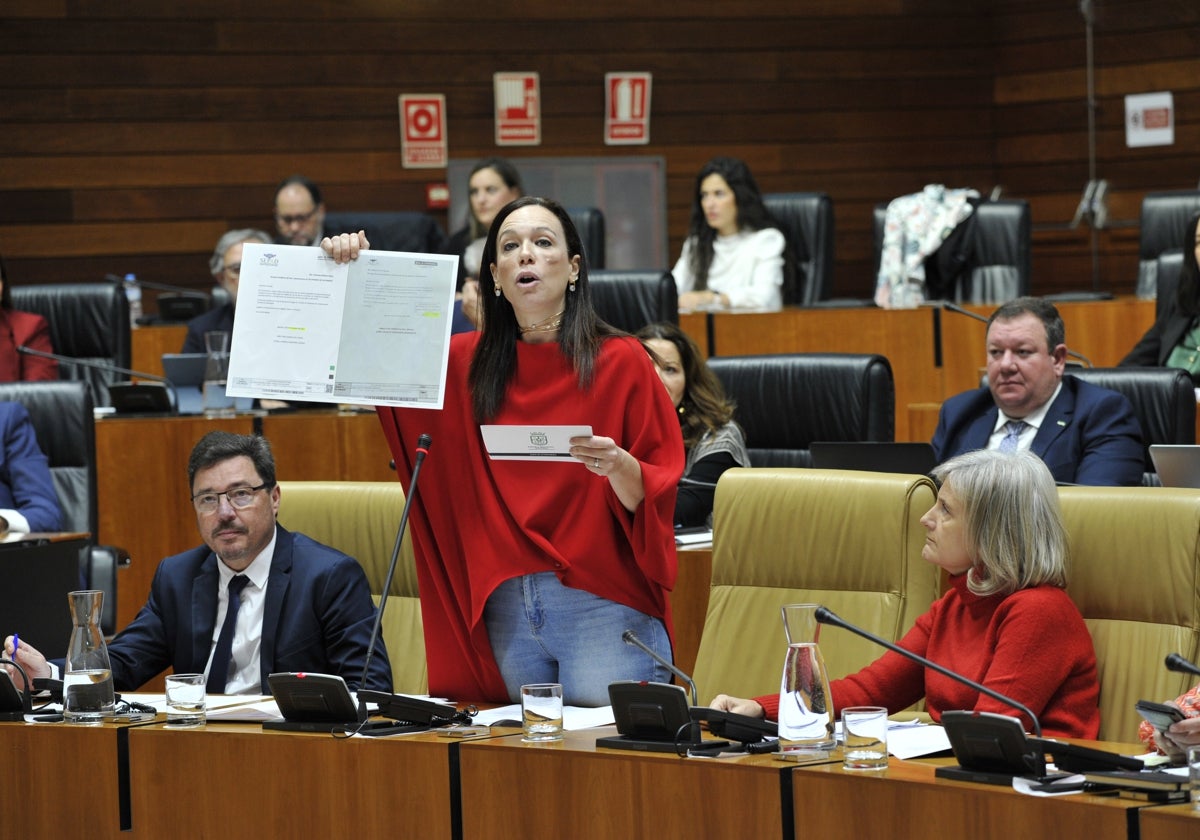 La consejera de Salud, Sara García Espada, en el último pleno de la Asamblea.