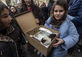 San Antón reúne a las mascotas para ser bendecidas en Cáceres