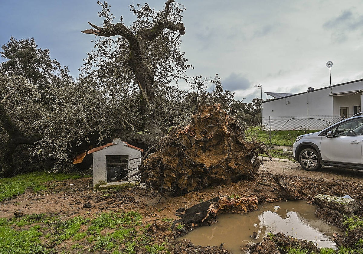 La borrasca Irene deja en Extremadura lluvia generosa, pequeñas inundaciones y desembalses