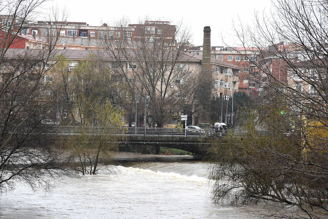 El río Jerte se desbordó a su paso por Plasencia e inundó el paseo de la Ribera 