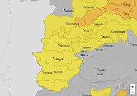 Avisos activos para hoy viernes 19 de enero.